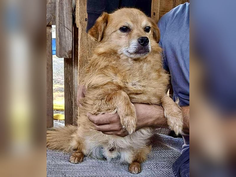 Carlos - dankbar & freundlich Carlos - dankbar & freundlich