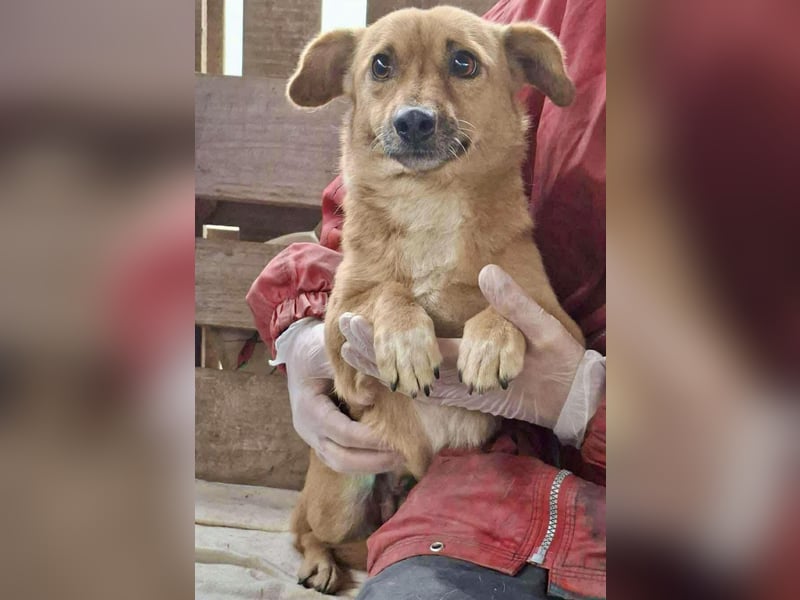 Mona sucht Sicherheit & Ruhe