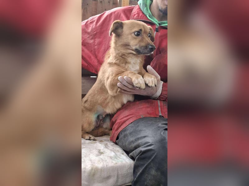 Mona sucht Sicherheit & Ruhe