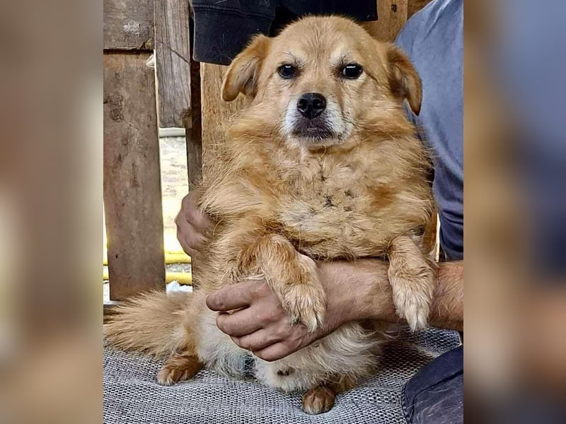 Carlos - dankbar & freundlich Carlos - dankbar & freundlich