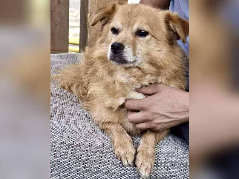 Carlos - dankbar & freundlich Carlos - dankbar & freundlich