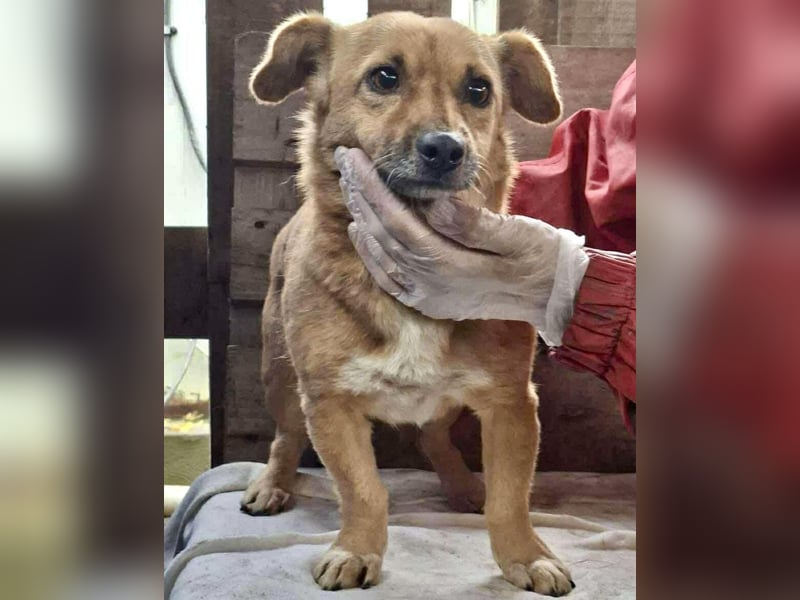 Mona sucht Sicherheit & Ruhe