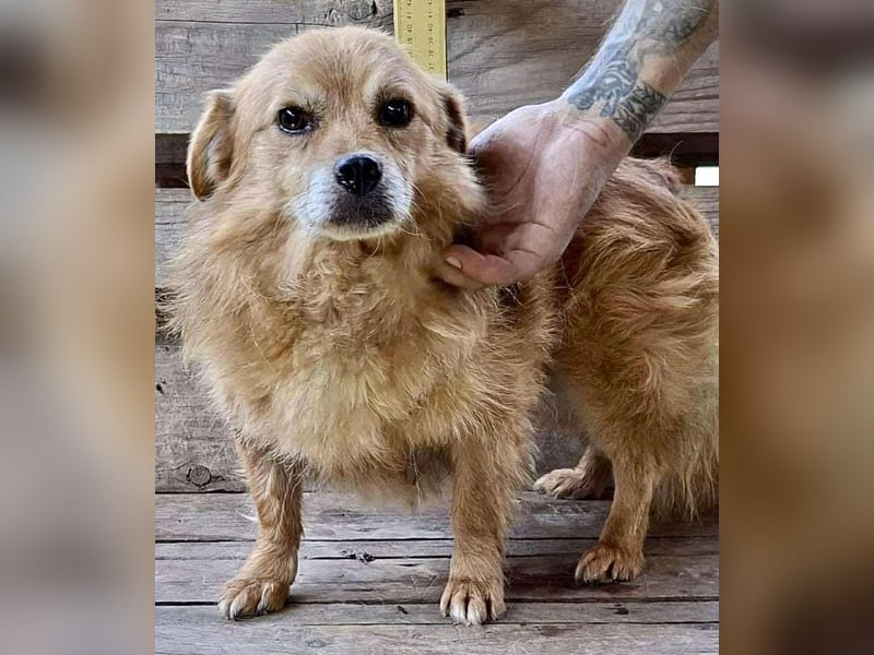 Carlos - dankbar & freundlich Carlos - dankbar & freundlich