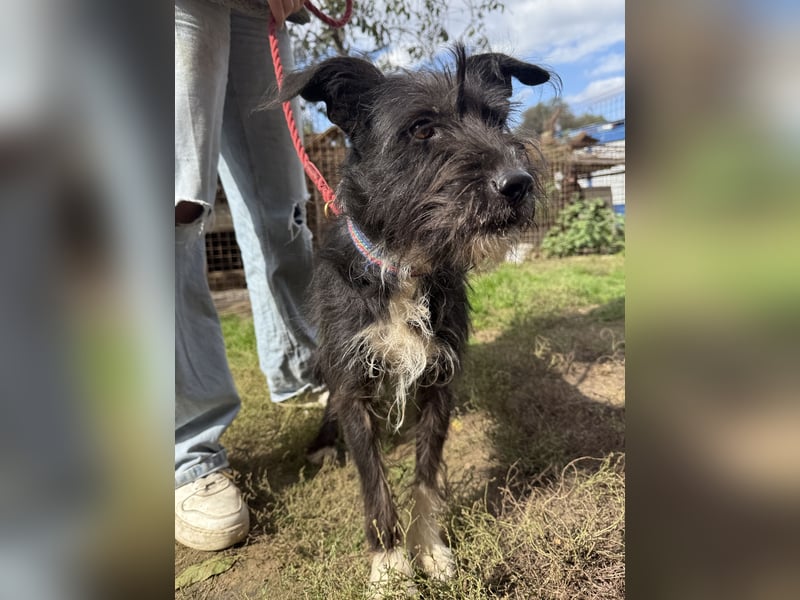 Lidi ist unser Sonnenschein!!1