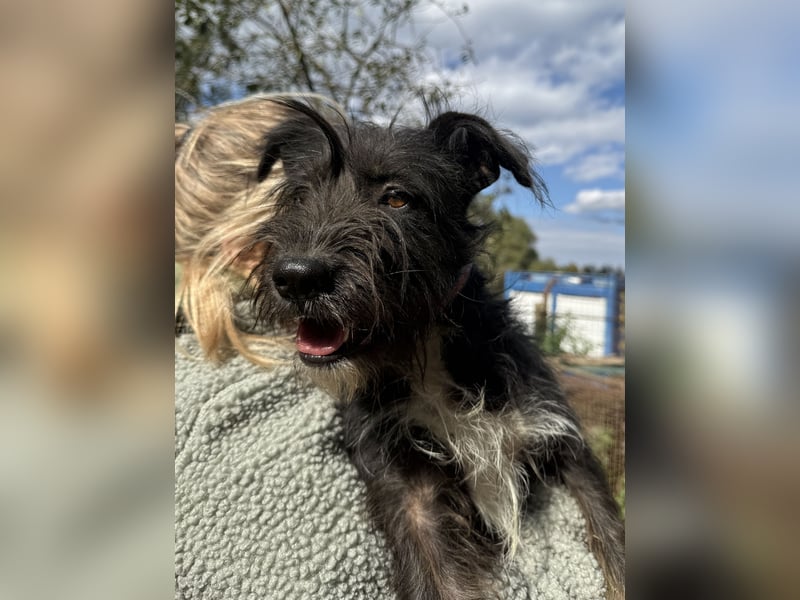 Lidi ist unser Sonnenschein!!1