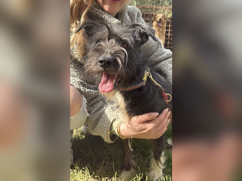 Lidi ist unser Sonnenschein!!1