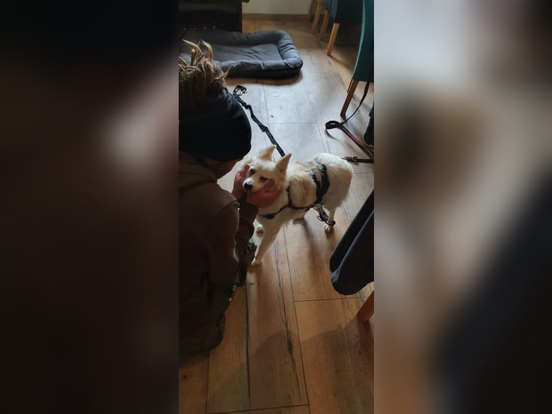 POLY + MOLY ❤  Warten in 53902 Bad Münstereifel auf Dich