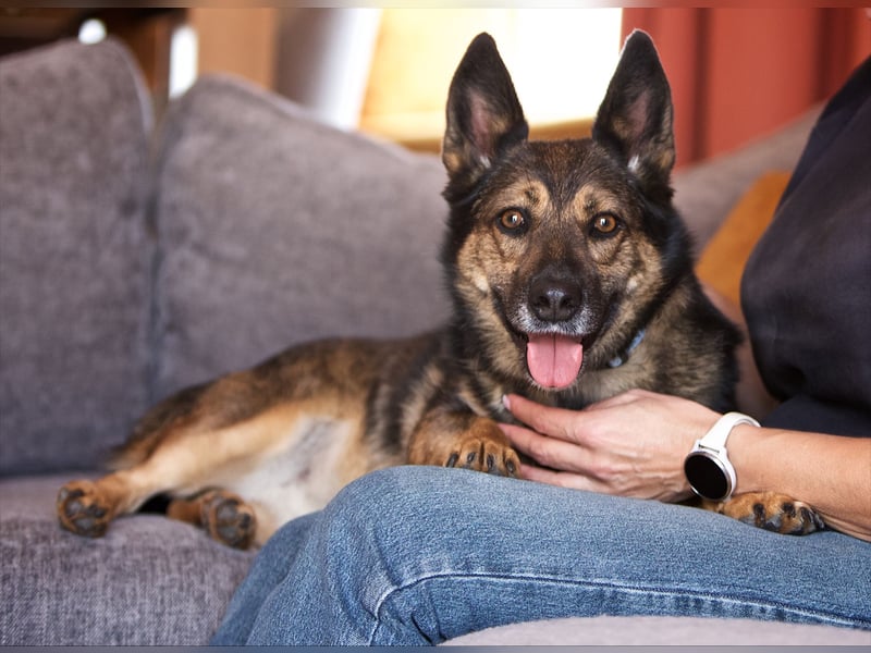 Wundervolle Eva sucht ihre Familie Wundervolle Eva sucht ihre Familie