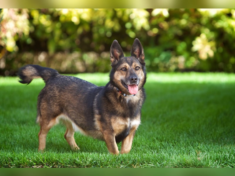 Wundervolle Eva sucht ihre Familie Wundervolle Eva sucht ihre Familie