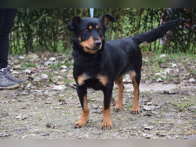 Lana - zeigt Lebensfreude und ist einfach nur total lieb