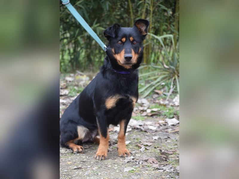 Lana - zeigt Lebensfreude und ist einfach nur total lieb