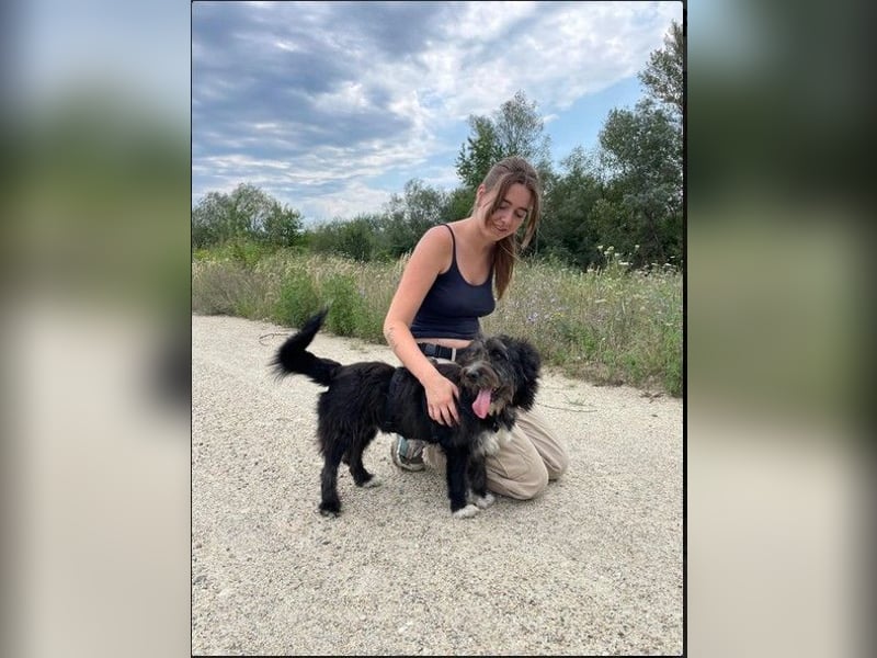 Susi verschmuste Junghündin sucht ihr Zuhause