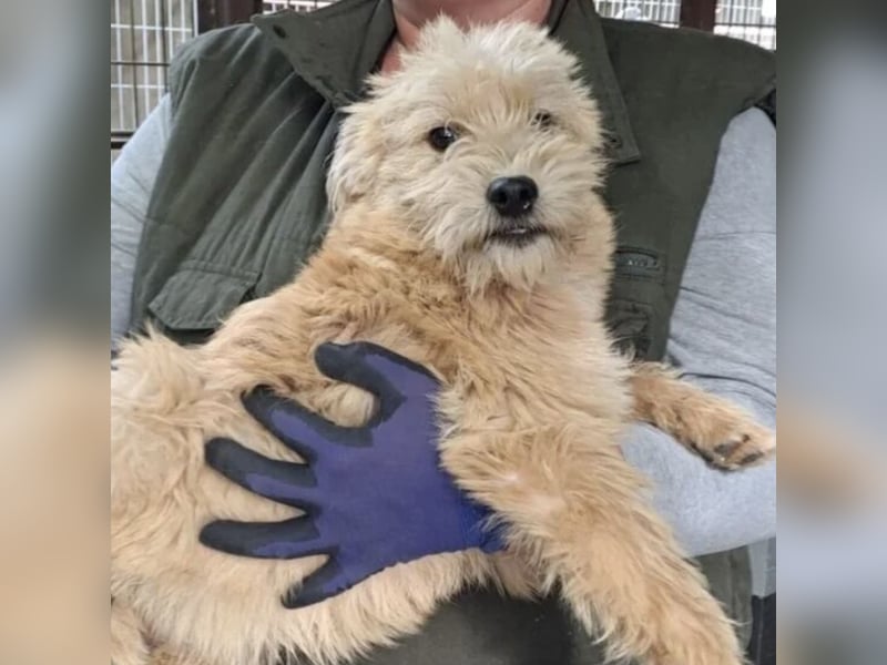 CASTO SUCHT SICHERHEIT