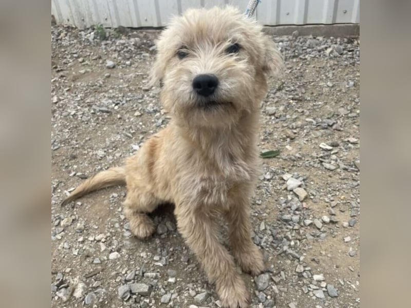 CASTO SUCHT SICHERHEIT