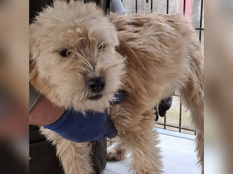 CASTO SUCHT SICHERHEIT