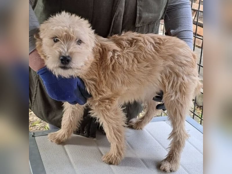 CASTO SUCHT SICHERHEIT