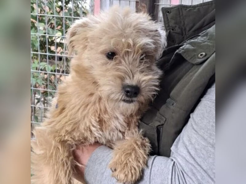 CASTO SUCHT SICHERHEIT