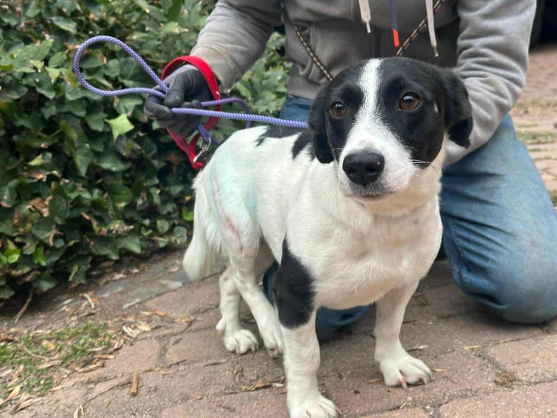 Alma, geboren 26.08.2023, 29cm sucht ihr Glück