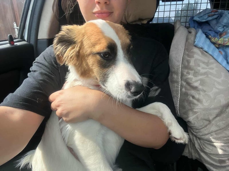 Manka, geboren 01.02.2025, 43cm sucht ihr Zuhause