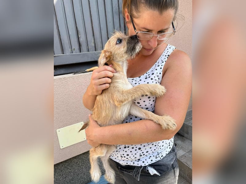 Billy, geboren 20.06.2025, 35cm sucht liebevolles Zuhause fürs Leben Billy, geboren 20.06.2025, 35cm sucht liebevolles Zuhause fürs Leben