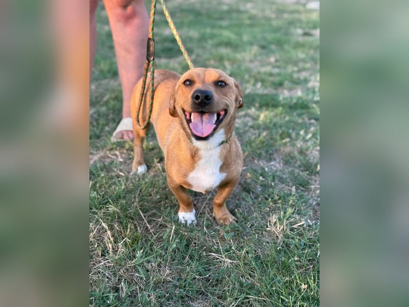 Serafina, geboren 31.10.2024, 30cm sucht ihre Chance Serafina, geboren 31.10.2024, 30cm sucht ihre Chance