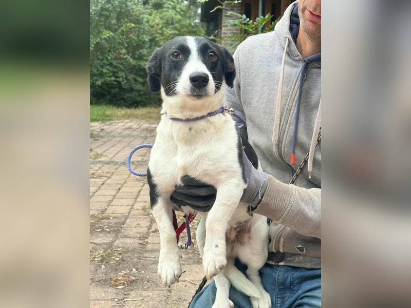Alma, geboren 26.08.2023, 29cm sucht ihr Glück