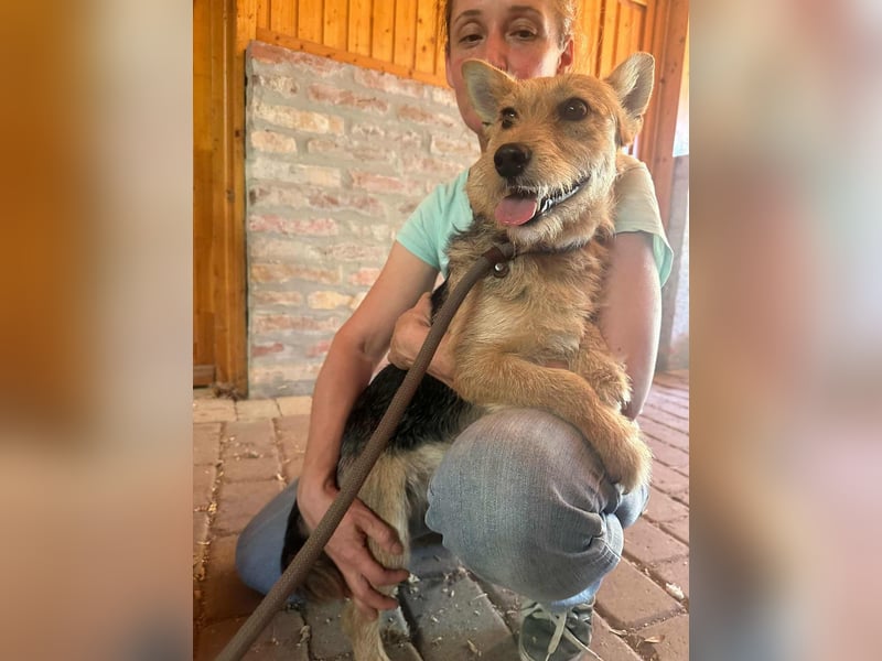 Frida, geboren 05.05.2023, 33cm sucht ihre Menschen Frida, geboren 05.05.2023, 33cm sucht ihre Menschen