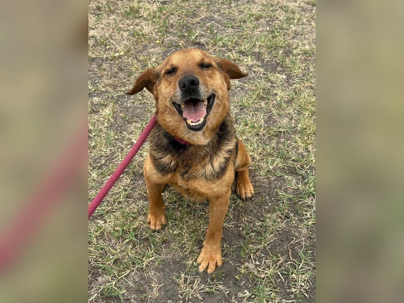 Tobi, geboren 01.04.2020, 40cm sucht sein Körbchen