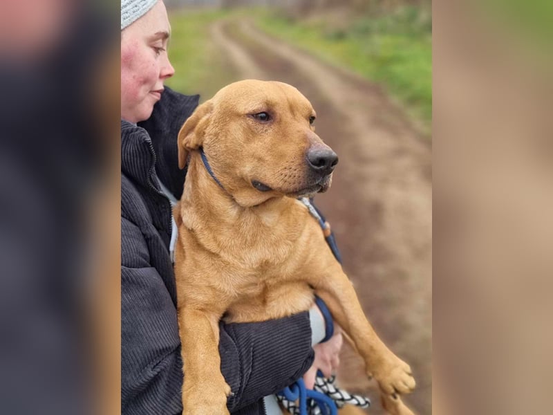 Tino, geb. 03/2023, 35 cm, wünscht sich ein Für-Immer-Zuhause