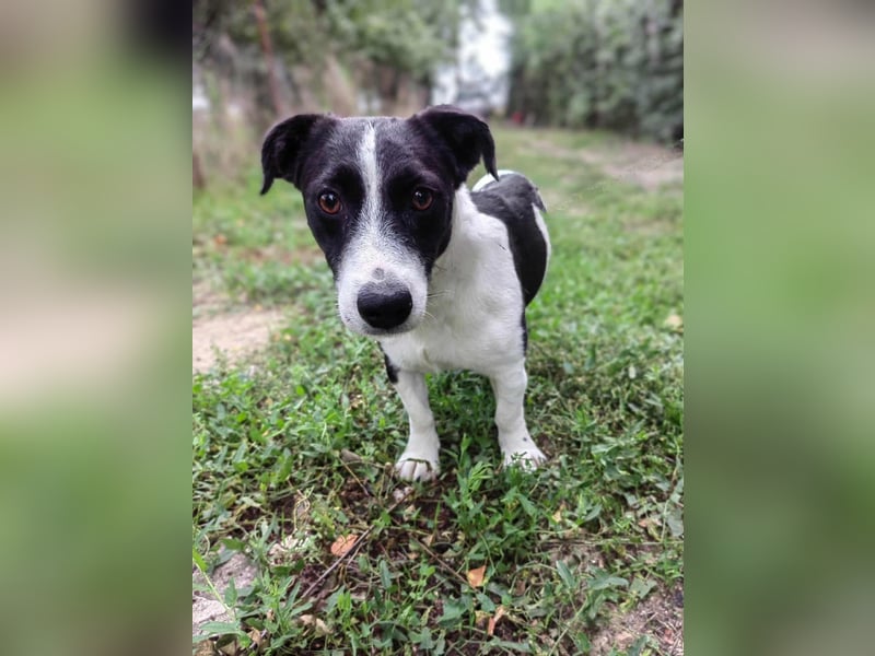 Alma, geboren 26.08.2023, 29cm sucht ihr Glück