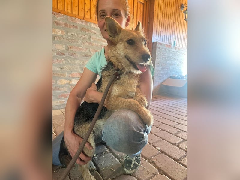 Frida, geboren 05.05.2023, 33cm sucht ihre Menschen Frida, geboren 05.05.2023, 33cm sucht ihre Menschen