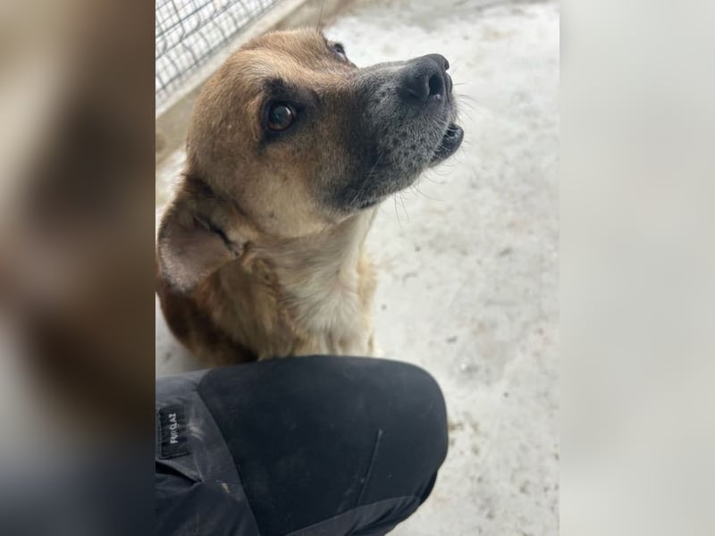 Storm - klein und sanft