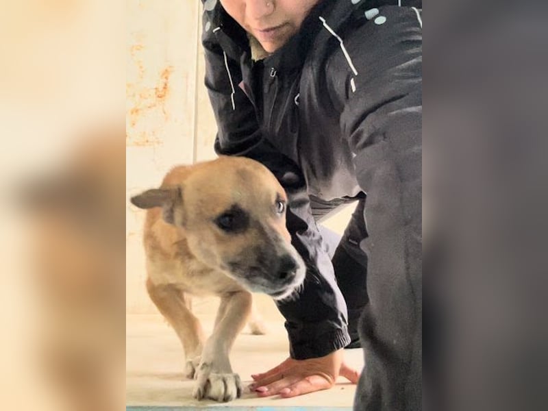 Storm - klein und sanft