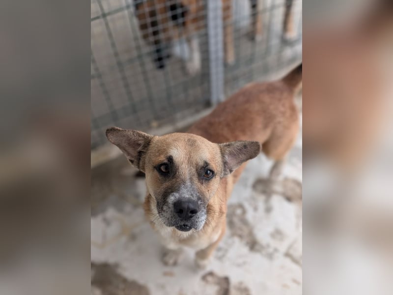 Storm - klein und sanft