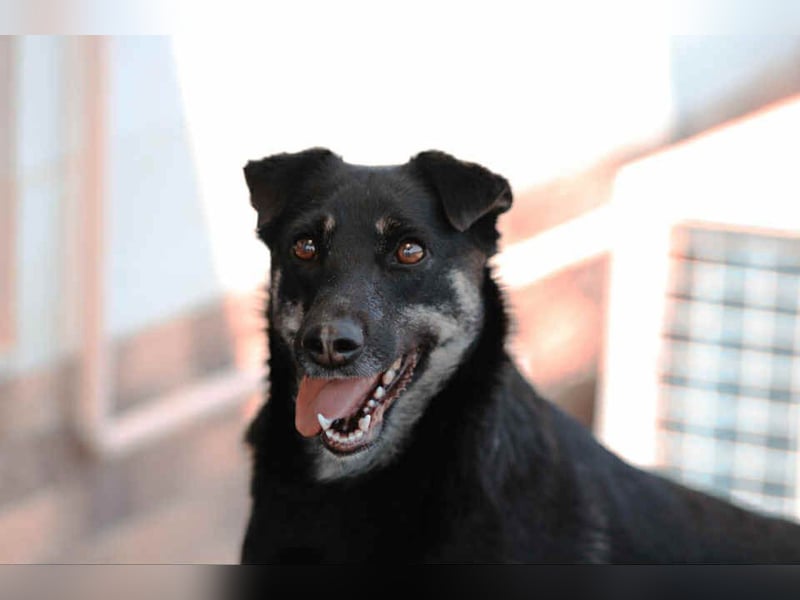 Aktive Lana sucht ihre Familie Aktive Lana sucht ihre Familie