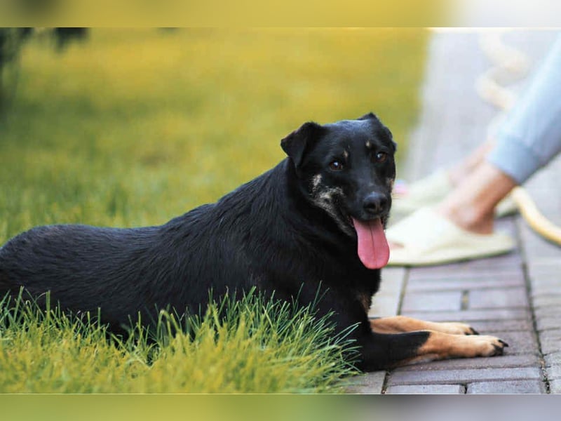 Aktive Lana sucht ihre Familie Aktive Lana sucht ihre Familie