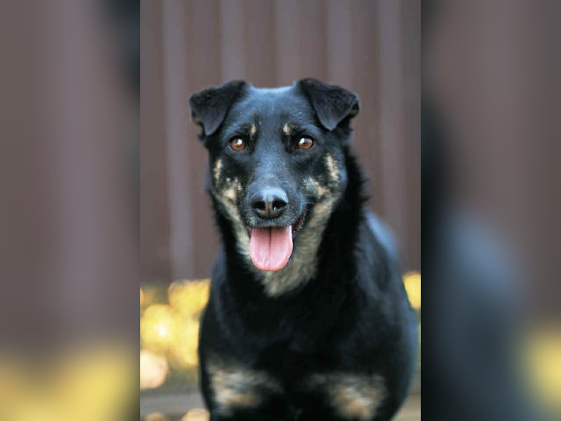 Aktive Lana sucht ihre Familie Aktive Lana sucht ihre Familie