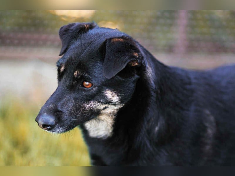 Aktive Lana sucht ihre Familie Aktive Lana sucht ihre Familie