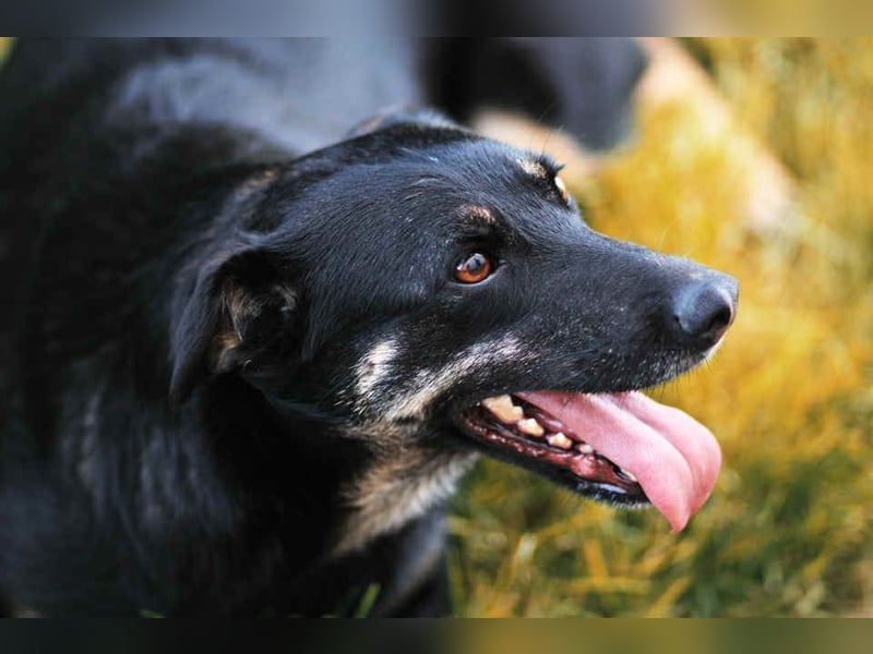 Aktive Lana sucht ihre Familie Aktive Lana sucht ihre Familie