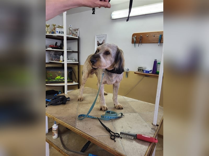 Strubbel - Ankommen und wohl fühlen, wer erfüllt mir diesen Traum