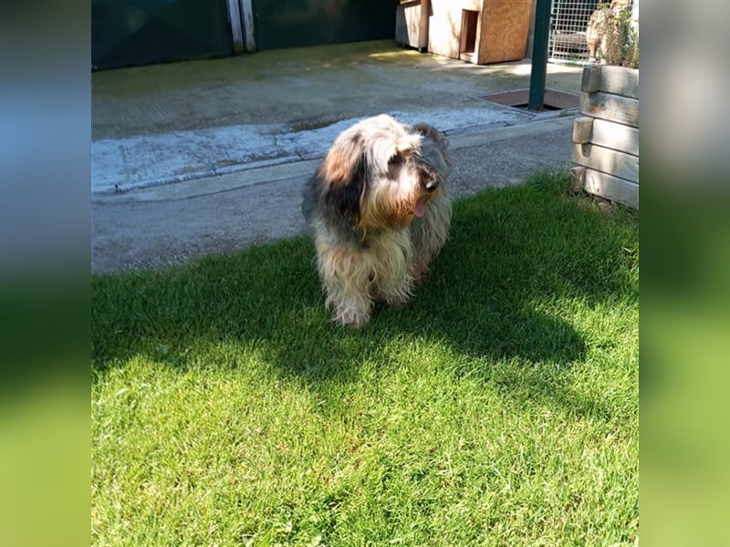 Strubbel - Ankommen und wohl fühlen, wer erfüllt mir diesen Traum