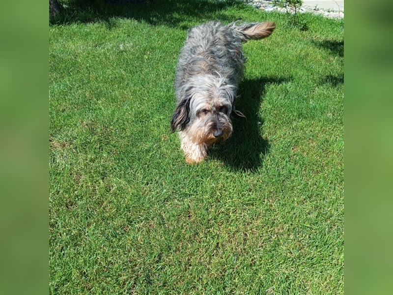 Strubbel - Ankommen und wohl fühlen, wer erfüllt mir diesen Traum
