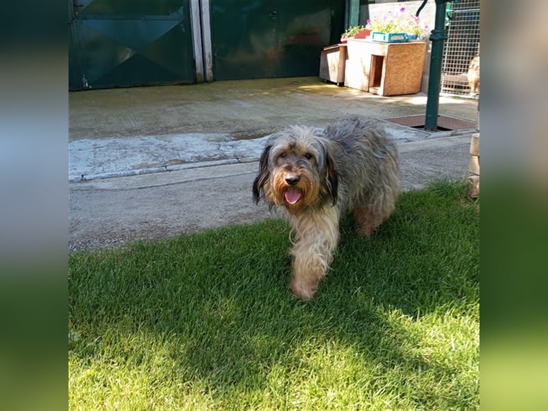 Strubbel - Ankommen und wohl fühlen, wer erfüllt mir diesen Traum