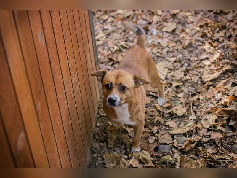 Chip 123494  - ich freue mich auf meine eigene Familie!