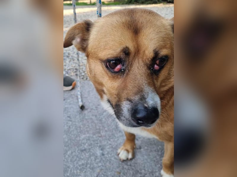 Chip 123494  - ich freue mich auf meine eigene Familie!