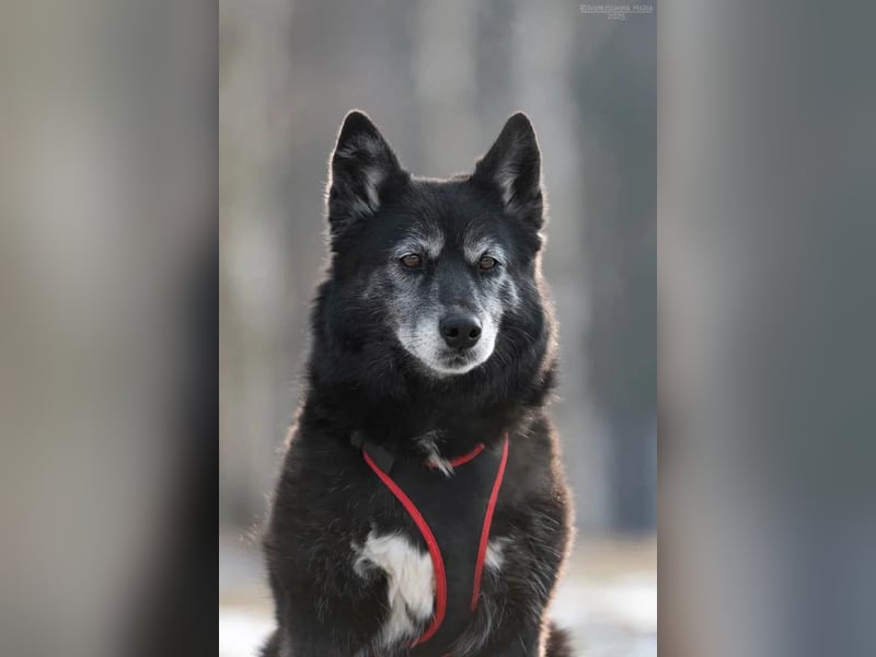 Lebhafte Anita sucht ihre Familie