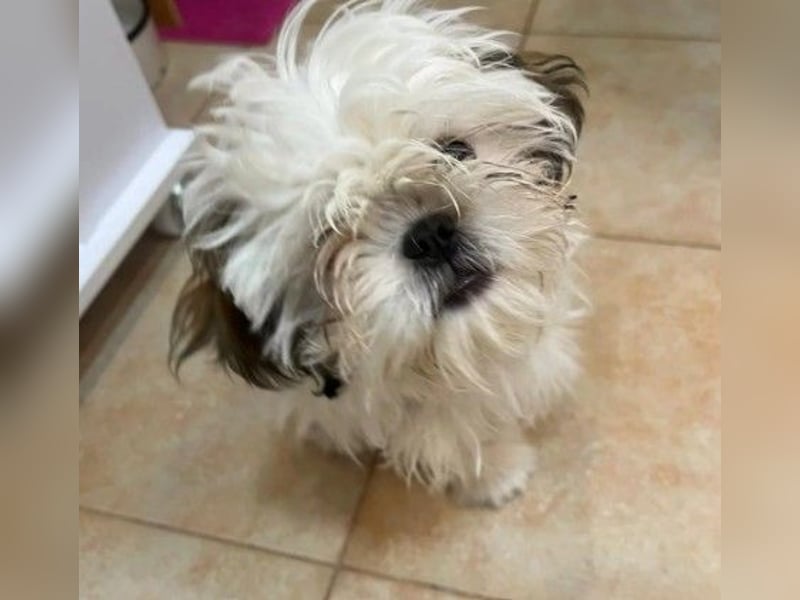 Freundliche, zauberhafte und liebe Lotti