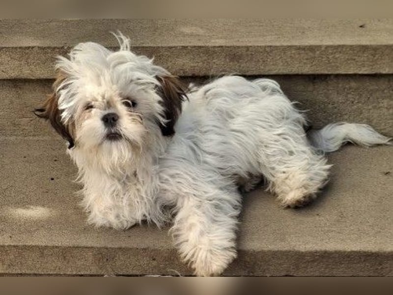 Freundliche, zauberhafte und liebe Lotti