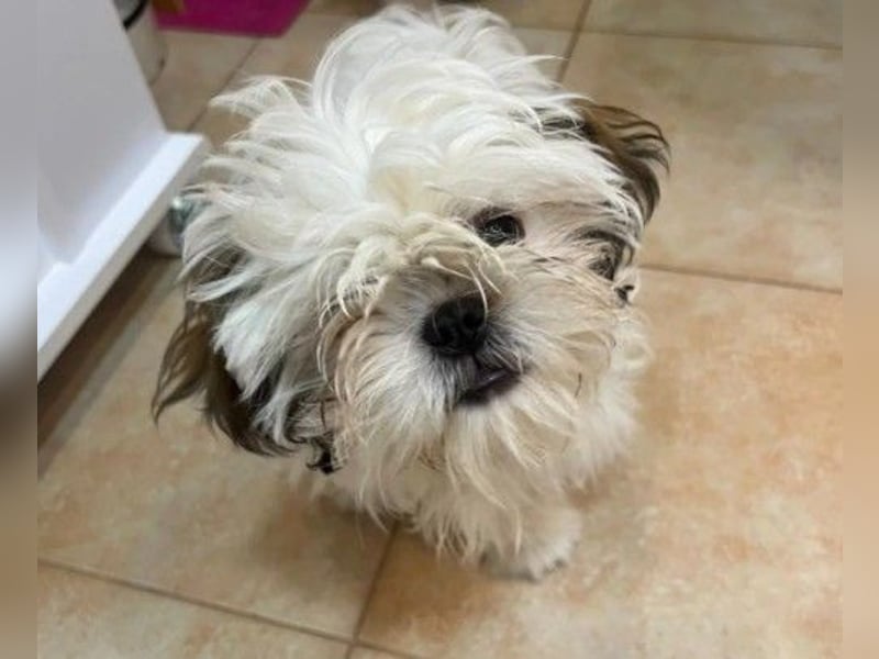 Freundliche, zauberhafte und liebe Lotti