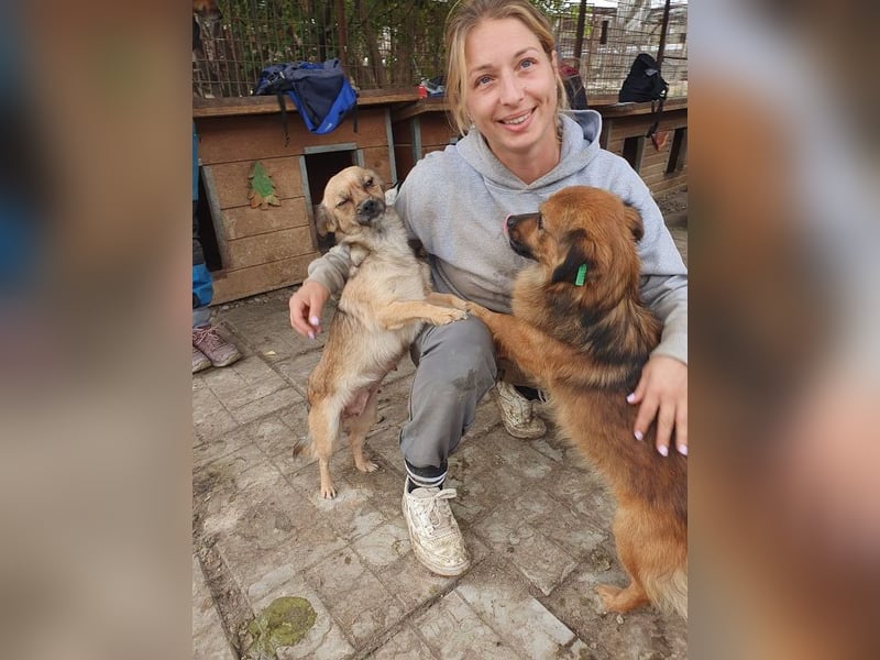 ♥BARLEY♥ neu auf Pflegestelle bei Köln - zuckersüßer, verschmuster, anhänglicher Schatz 33 cm